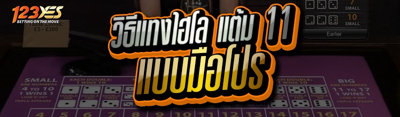 วิธีแทงไฮโล แต้ม 11 แบบมือโปร